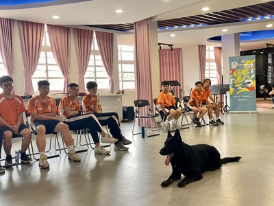 20260408訓犬達人